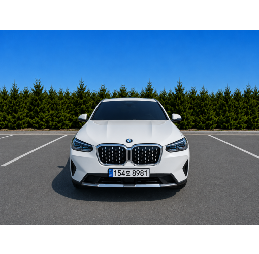 21년식 Bmw x4 20d