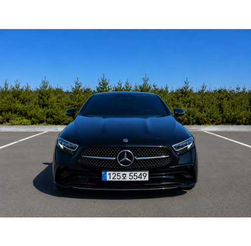22년식 벤츠 Cls 300d