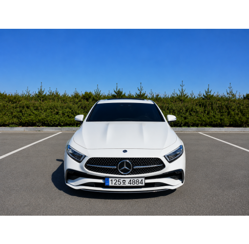 22년식 벤츠 Cls 300d