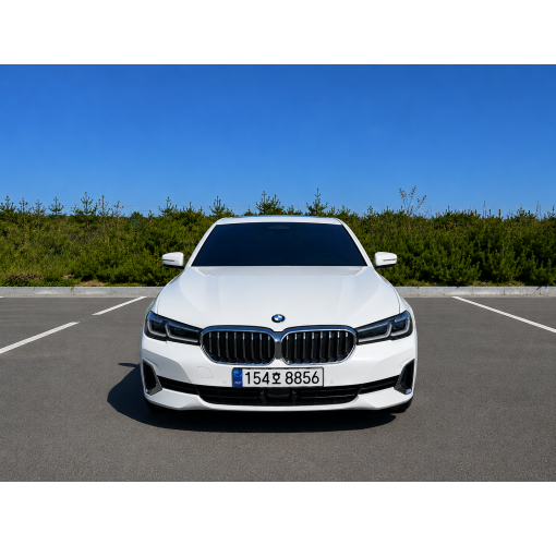 21년식 Bmw 520i