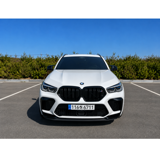 23년식 Bmw x6m